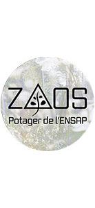 ZAOS POTAGER